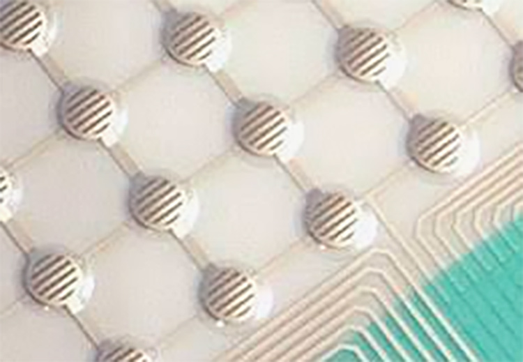 Poly Dome Tactile Membrane Switch